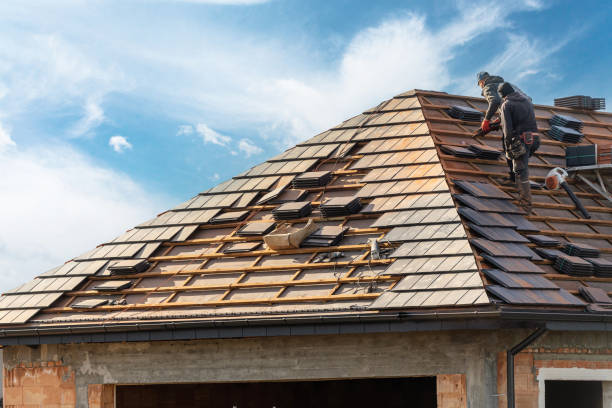 Best Metal Roofing Installation  in Dawson, MN